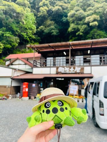川が見える