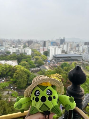 天守閣からの眺め