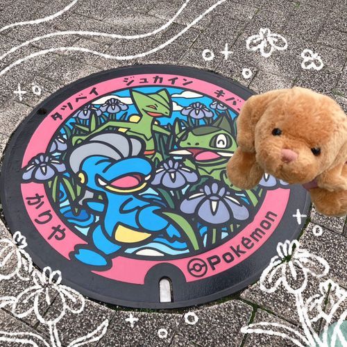 ポケふた２つ　行ってきたのだ。2まい同時お日記❗️
1まい目　愛知県刈谷市のタツベイくん　キバゴくん　ジュカインくん！刈谷市は　カキツバタが　ゆーめーなんだって〜🌸
2まい目　名古屋市のネッコアラくん　コイキングくん！名古屋じょーの金しゃちと　どーぶつ園！たぶん！🏯