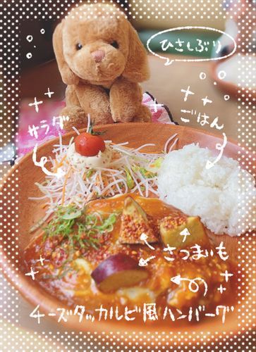 びっくりドンキー　行ってきたのだ❗️
チーズタッカルビ風ハンバーグ　おいしかった〜〜❣️❣️