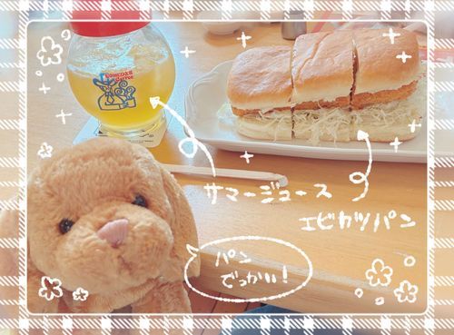 コメダ　行ってきたよ！
エビカツパンと　サマージュース🦐🥖🍹
エビカツパン　でっかおいしい‼️ボク　サンぶんのニしか　ペロリできなかった！くやしい❗️