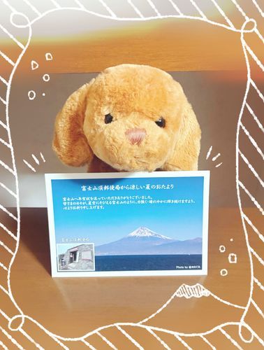 ふじさんから　おハガキきた！💌💨🗻
実はボク　お年賀で　ふじさんに　おハガキ出してたのだ！
ふじさん　すずしそ〜〜〜🎐