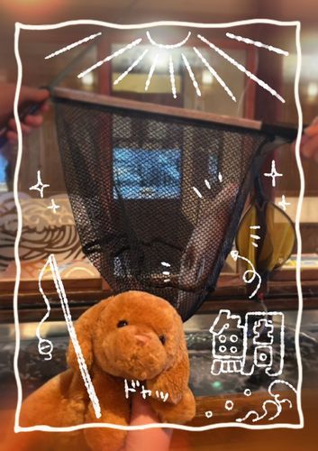 おさかな　つりつり〜！🎣お店の中で　おさかなつり　できるのだ！
タイゲット❗️今日は2枚ある！