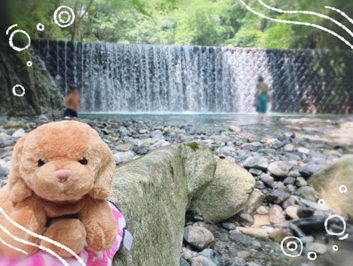 さいきん　あちちー！🔥だから　川に行ってきたよ！
ニンゲンさん　いっぱいいた！ボクは　足ちゃぷちゃぷ〜ってした！