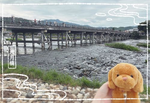 京都　渡月橋　行ってきた❗️しゅーがく　りょこーぶりぶりなのだ！
おぼ盆に行ったから　とーろー流し　やってたみたい🏮