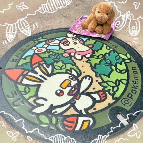 京都　宇治市の　ポケふた❗️２枚どうじお日記！
１枚めは　ちゃばたけで　かくれんぼ？おにごっこ　してるのかな？
２枚めは　宇治市は　やっぱり　おまっちゃ！だから　おちゃポケモン！