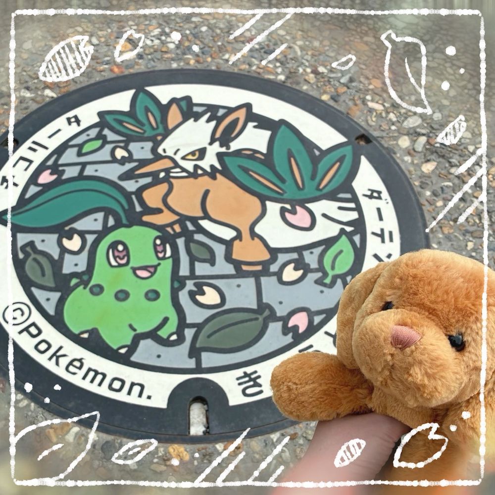 京都　京都市のポケふた！２枚どうじお日記！
１枚め　ホウオウくん　うつくし〜〜〜✨✨ちょっと　ポケふたの　デザインちがう！
２枚め　チコリータくんと　ダーテングくん　京都だから　てんぐ　なのかな？？