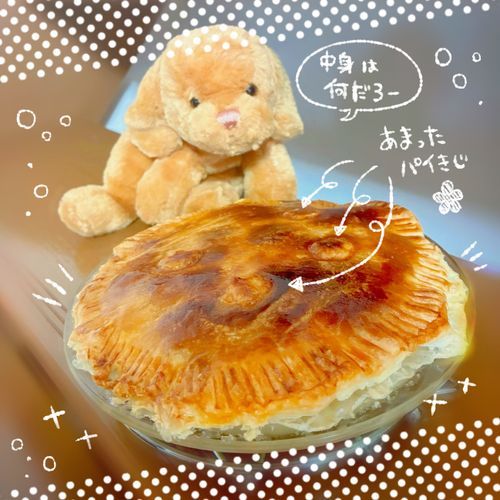 パイ作った！🥧2枚同時お日記
いい感じに　やけたのだ〜っっ！中身は〜・・・2枚め！
かぼちゃミートパイ　なのだ！🎃🥧かぼちゃ　あまあま　パイも　あまあまで　おやつみたいなのだ〜〜〜！！