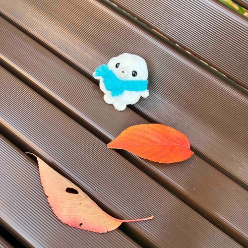 落ち葉。紅葉だね。