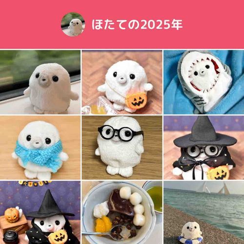 今年は、水族館でほたてと出会って、お出かけもお散歩も楽しくなったよ。また来年も遊ぼうね！