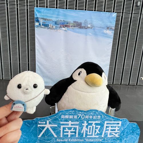 大南極展いてきた！！
南極の氷触ったよ！パチパチ空気はじける音がした。