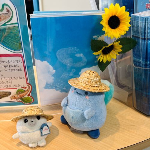 あわたんと麦わら帽子おそろ〜。まいにち暑いね〜🌻