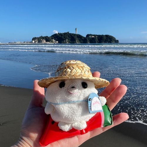 海だよ〜！
泳ぎたい？？🌊🐟🛟
