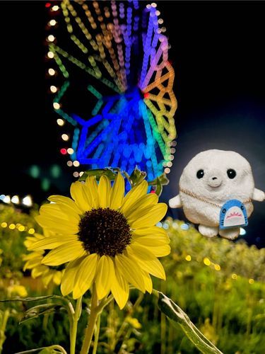 葛西臨海公園だよ。
🌻🌻🌻
きれい！

(ほたて、お留守番しちゃったから、、、合成…笑)