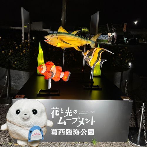 お魚のライトかわいいね。