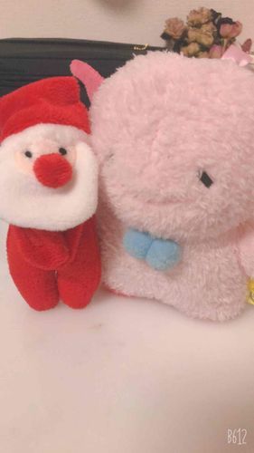 ぼくのおーち、はやいはやいサンタさん来たのだ！飼い主によると下見らしいのだ！下見って何なのだ？おいしそうなのだ！