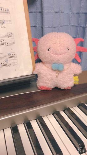 飼い主のピアノの練習を応援してるのだ！