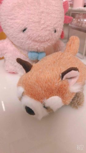 あたらしいおともだちなのだ！ゆあらってなまえらしいのだ！