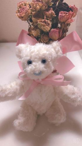 飼い主がくまさんを作ったらしいのだ！青いおめめがかわいいのだ！
またまたあたらしいおともだち！
