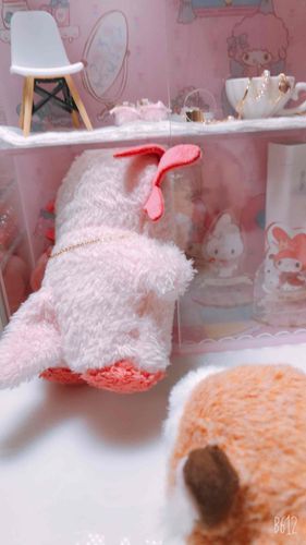 この棚、ぼくおじゃまできないのだ