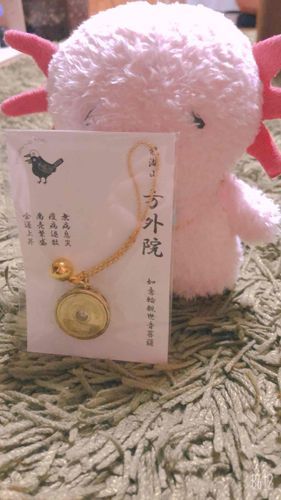 飼い主からなんかもらったのだ、これ何なのだ？