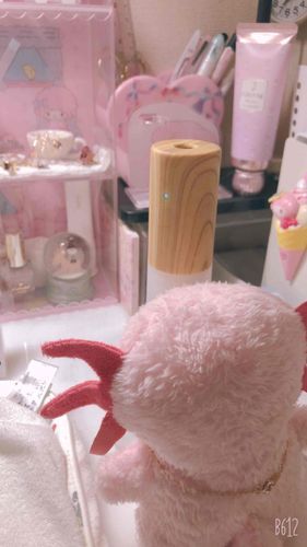 飼い主が、かしつきっていうやつ、出してたのだ！
もくもくしてるのだ