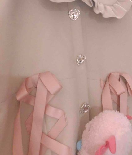 飼い主の上着、きらきらついてるのだ
きらきらおいしそうなのだ