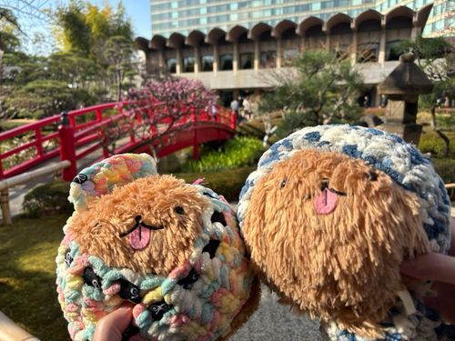ポメのうに♂(右)といくらちゃん♀(左)です！
おしゅしの作者、やばい先生の生み出したポメのぬいぐるみ(ポメぬい)の男の子と女の子です✨
一緒に住んでるポケモンも映る時があるよ(みがわりのずんだ、パモのかぼちゃ、ドオーのあんころちゃん)
みんなで仲良く暮らしてます🏠