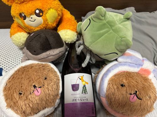 ふるさとのうぜいのブドウジュース、めちゃうまだったぽめ
たっぷりだったからとりあいせずなかよくのめるぽめよー🍇