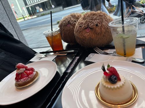 ちょっとまえにかふぇでけーきたべたぽめ🍰
おようふくなしのすっぽんぽんだったぽめけど、あったかーいひだったからだいじょぶだったぽめよ☘️