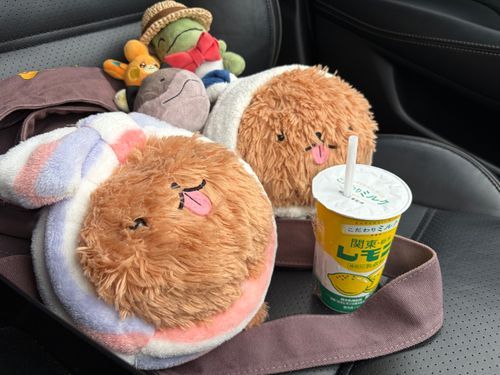 栃木旅行の思い出①
れもんぎゅーにゅーをのんで、とちぎのどらいぶをたのしんだぽめ！
すっぱあまくておいしかったぽめよ🍋🥛
