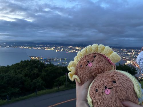 北海道の思い出③
ちょっちくもちゃったぽめけど、はこだてやまからのけしきは、ぜっけいだったぽめねー
しゃしんはとれなかったぽめけど、はなびもみれていいおもいでになったぽめよ🎆