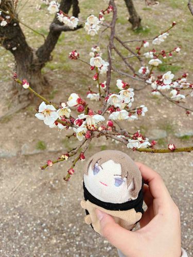 主と梅を見に行ったぞ！