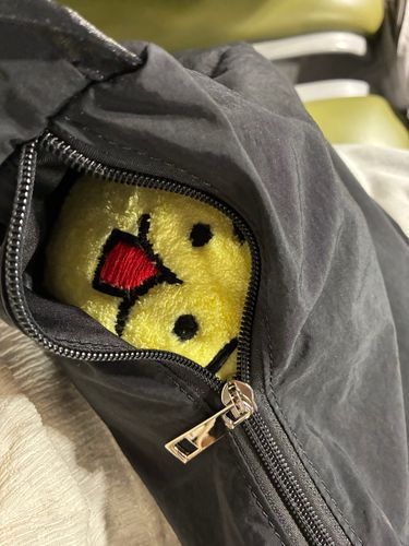ひょっこり
