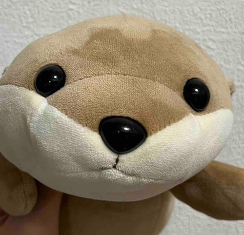 娘が大事にしているカワウソのかみーとの日常✨️