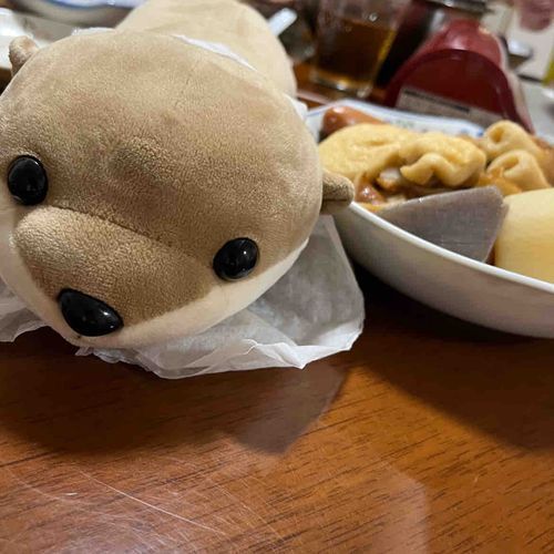 かみーとおでんを食べました🍢
かみーがこんにゃくをおかわり‼️