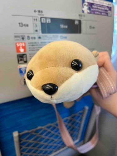 かみーと新幹線🚄
