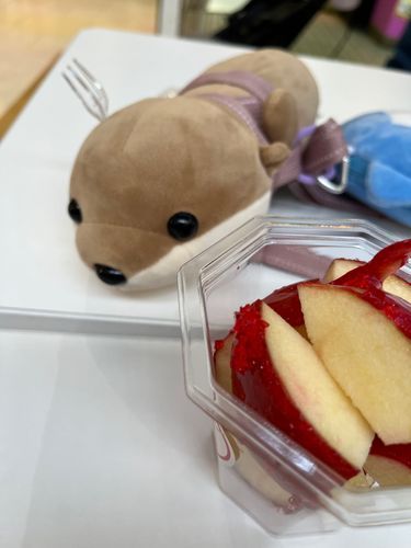 かみーとおいしいりんご飴を食べたよー