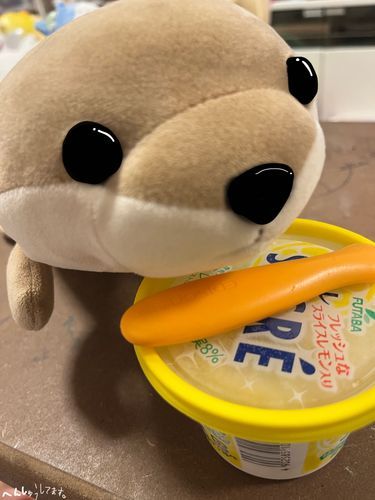 カミーとアイスૈ🍋ּ໋᳝݊◵