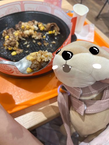 ペッパーランチとカミー😮🥘