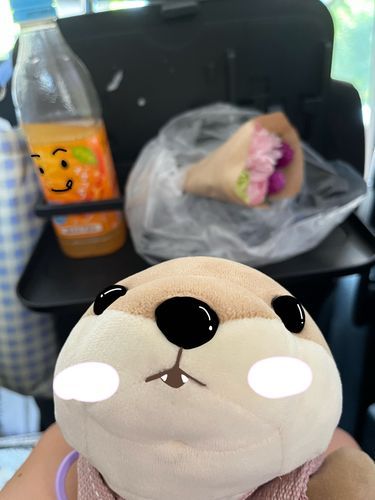なっちゃんとお花と𖤣𖥧𖥣｡𖥧𖧧カミー