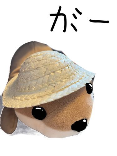かみー用の、帽子👒