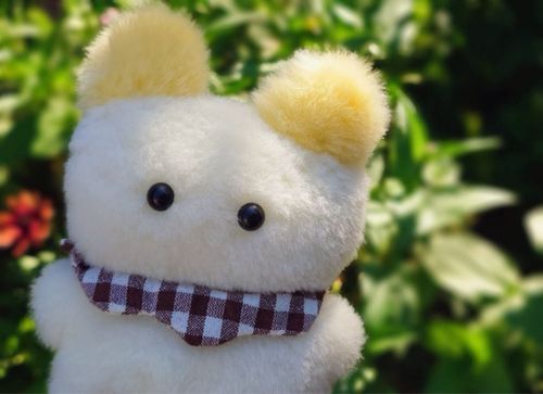 見ての通りの夏ですね〜‼️
猛暑超えて酷暑。日々をギリギリでいつも生き抜きましょう。