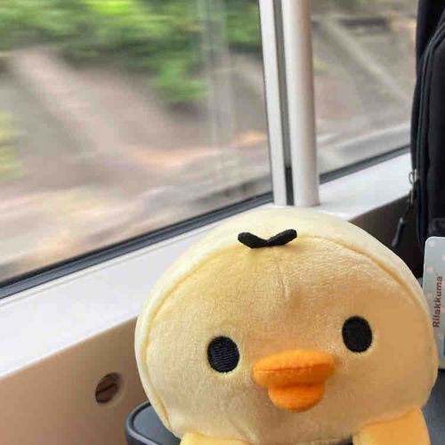 電車に乗ったよ