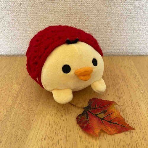 紅葉してる葉っぱだよ