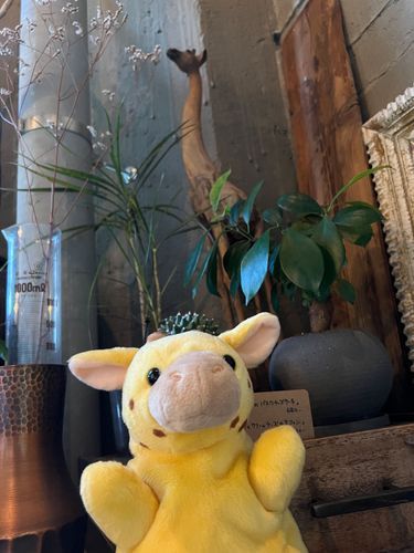 仲間見つけました🦒
