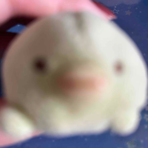 色々考えっちゃって寝れなかったよう。圧強めのペンギンでおはよう！