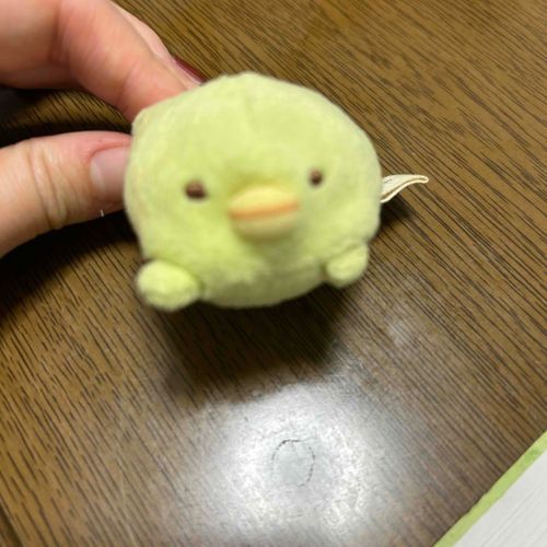 みんなは何を生きがいに生きてるペンか、、、