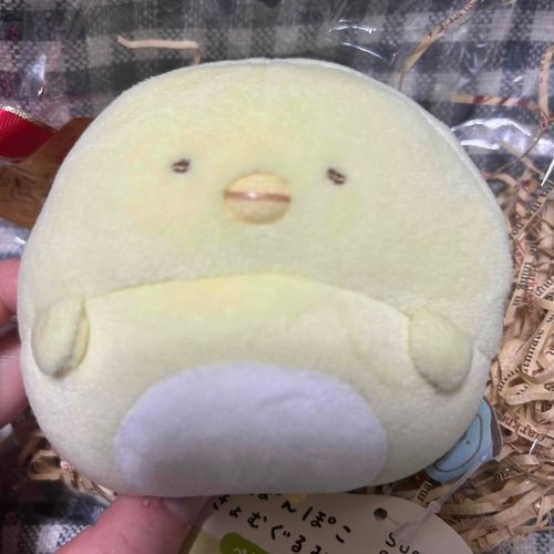 クリスマスに新しい仲間！？！？