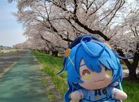 Mizuki.